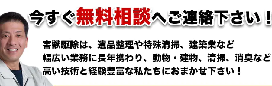 【無料相談】害獣駆除は、遺産整理や特殊清掃、建築業など幅広い業務に長年携わり、動物・建物・清掃・消臭など高い技術と経験豊富な私たちにおまかせ下さい！