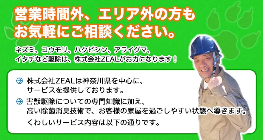 営業時間外、エリア外の方もお気軽にご相談ください。ネズミ、コウモリ、ハクビシン、アライグマ、イタチなど駆除は、株式会社ZEALがお力になります！株式会社ZEALは神奈川県を中心にサービスを提供しております。害虫駆除についての専門知識に加え、高い除菌消臭技術で、お客様の家屋を過ごしやすい状態へ導きます。